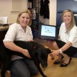 Menzies Group reps meet Poppy - our new team member