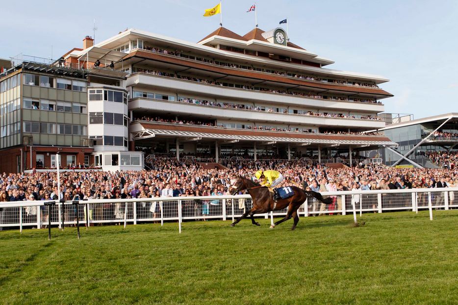 New Conference Venue opening soon at Newbury Racecourse!